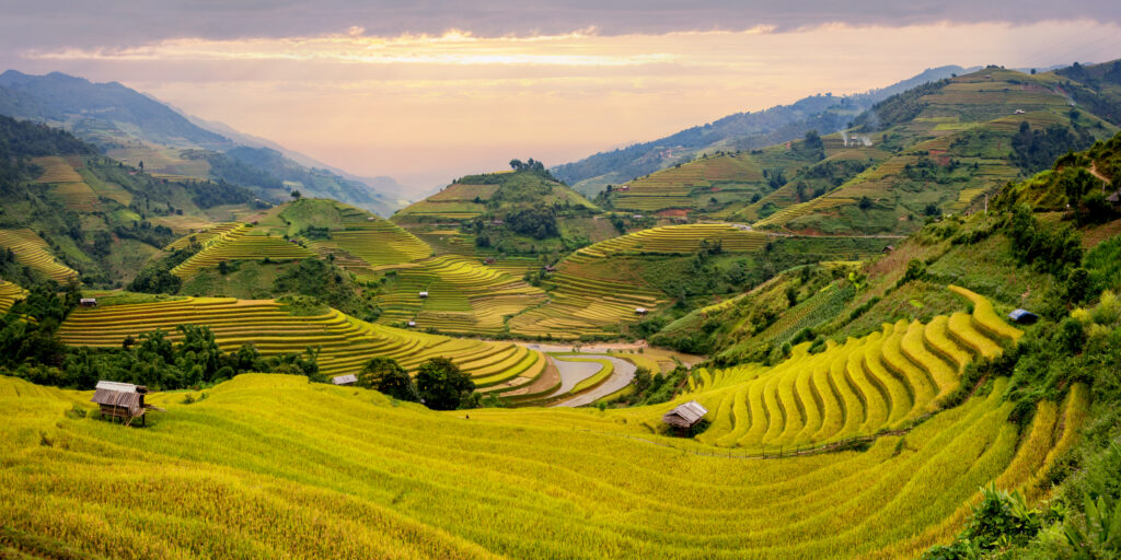 viaje a vietnam